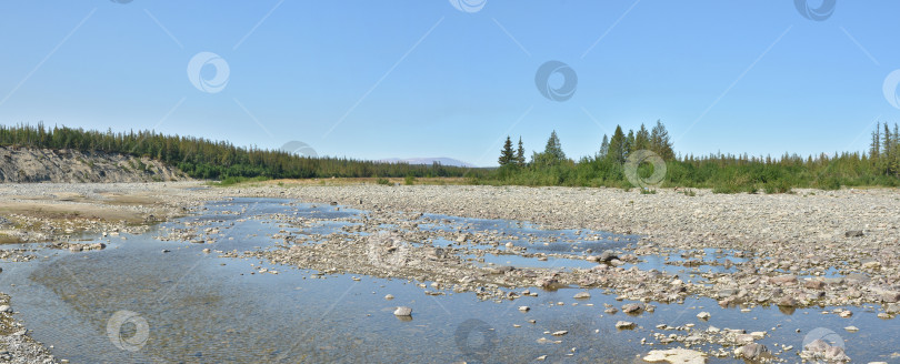 Скачать Летняя панорама таежной реки на Полярном Урале. фотосток Ozero