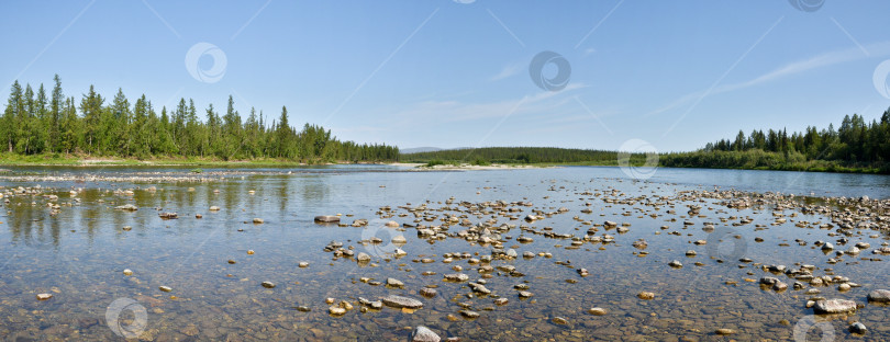 Скачать Летняя панорама таежной реки на Полярном Урале. фотосток Ozero