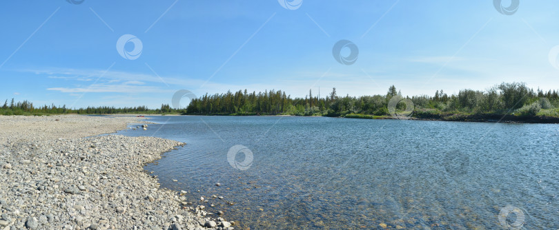 Скачать Летняя панорама таежной реки на Полярном Урале. фотосток Ozero