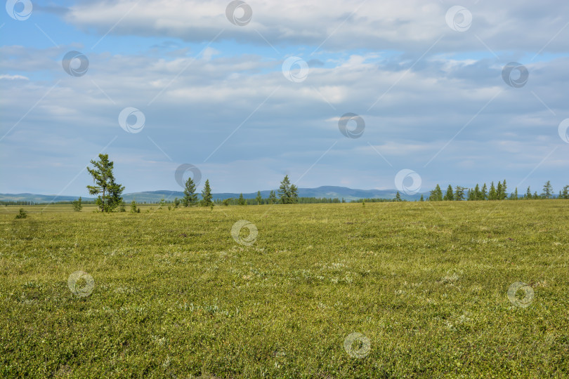 Скачать Предгорная тундра. фотосток Ozero