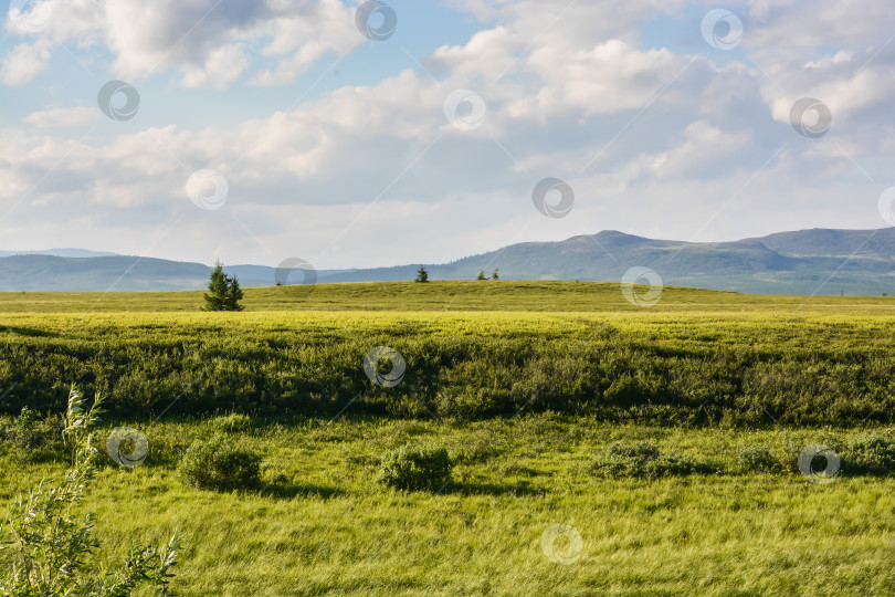 Скачать Предгорная тундра. фотосток Ozero