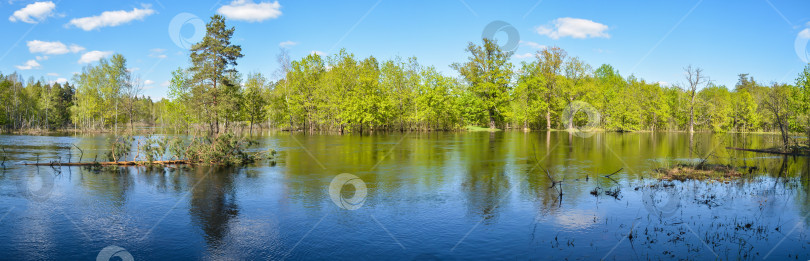 Скачать Весенний панорамный водный пейзаж Центральной России. фотосток Ozero