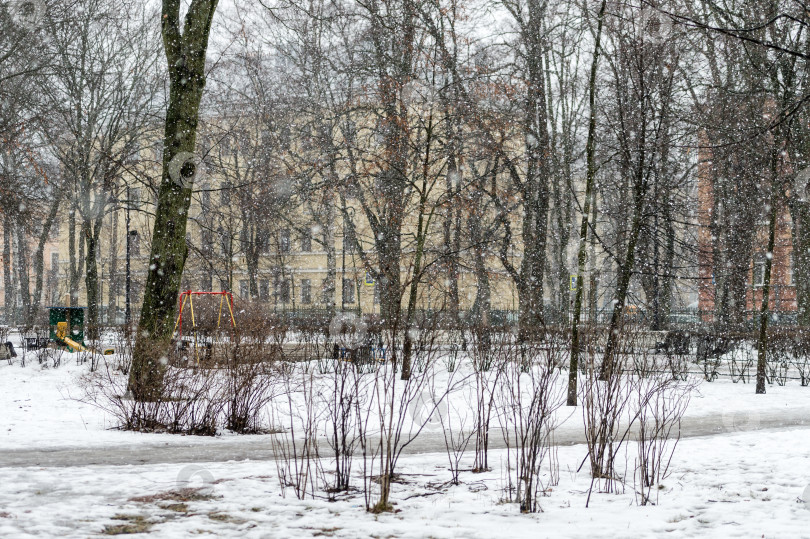 Скачать Россия, Санкт-Петербург, 3 марта 2025 года: городской парк зимой во время снегопада в Санкт-Петербурге фотосток Ozero