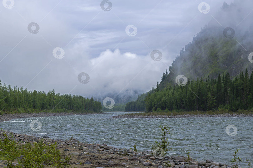 Скачать Низкие облака в горном ущелье над рекой. фотосток Ozero