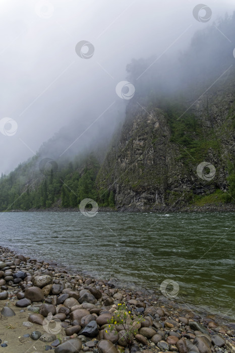 Скачать Низкие облака скрывают вершины гор. фотосток Ozero