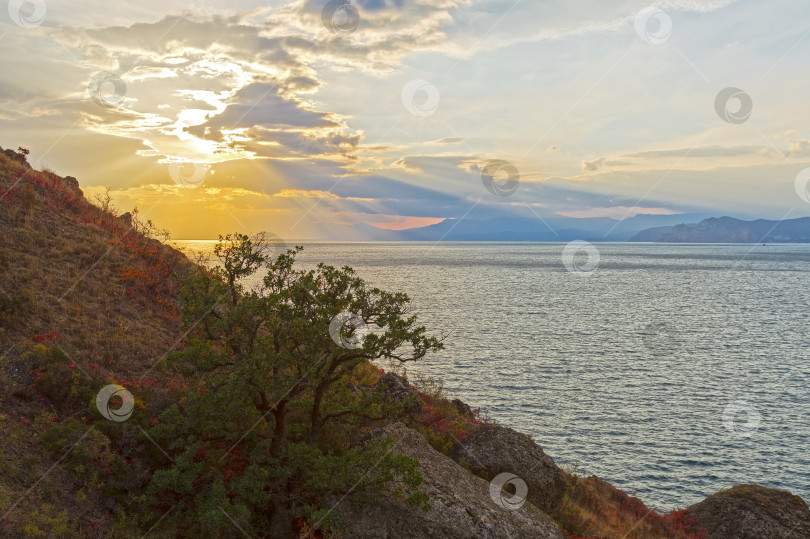 Скачать Закат над морем.  Крым. фотосток Ozero