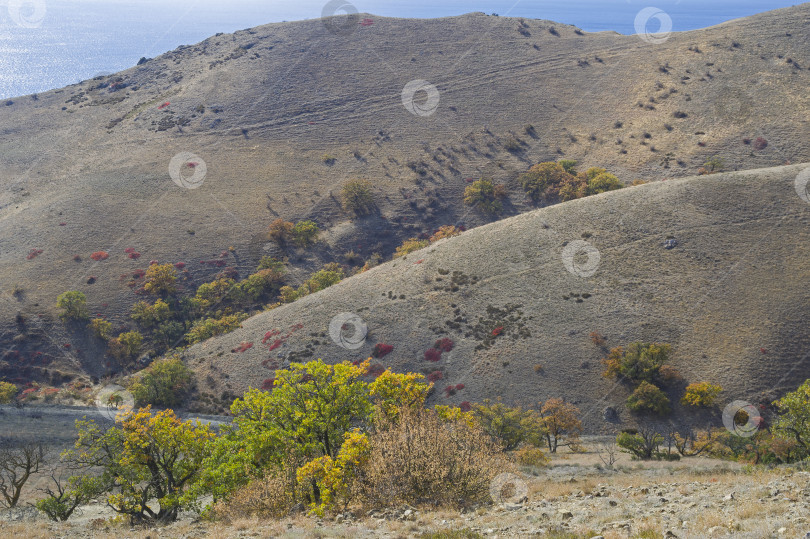 Скачать Осень в Крымских горах фотосток Ozero