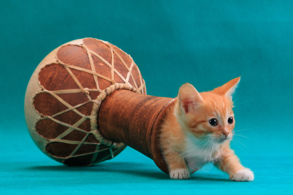 [object Object] undefined