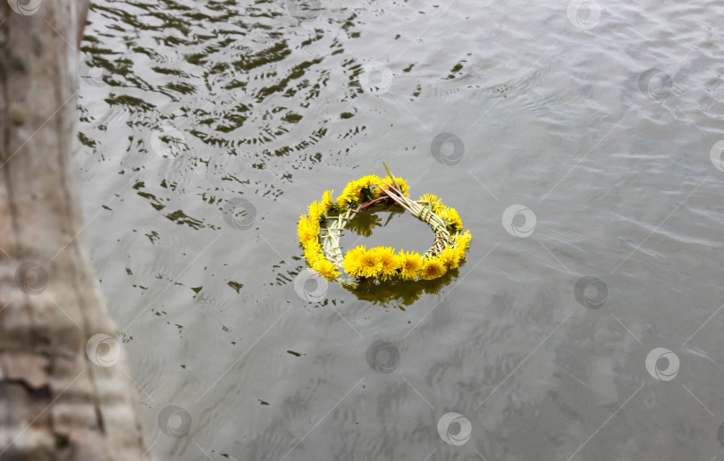 Скачать Венок из одуванчиков на воде фотосток Ozero