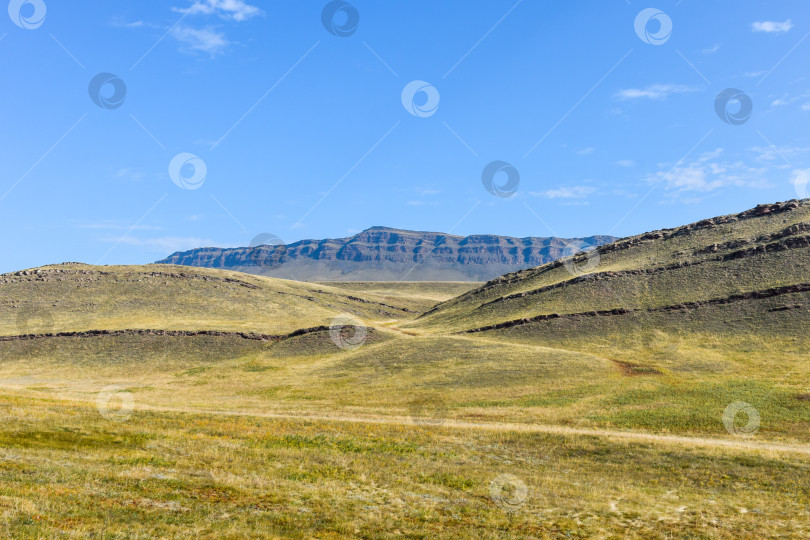 Скачать Летний пейзаж фотосток Ozero