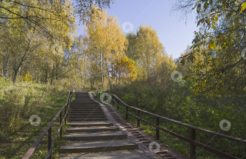 Скачать Лестница на пешеходной дорожке на склоне оврага. фотосток Ozero