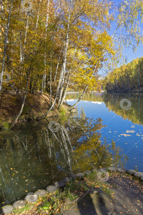 Скачать Прекрасный осенний пейзаж. фотосток Ozero