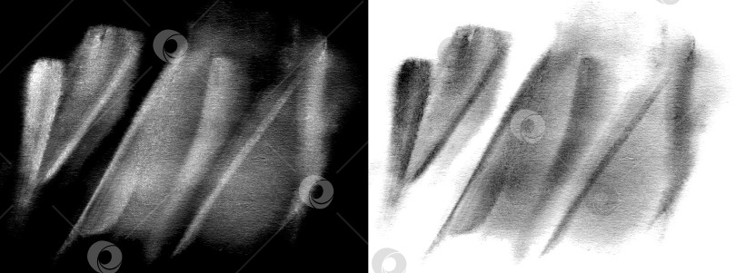 Скачать Серые монохромные акварельные динамичные мазки на белом и черном фонах. Набор. Абстрактная акварельная текстура. Иллюстрация. фотосток Ozero