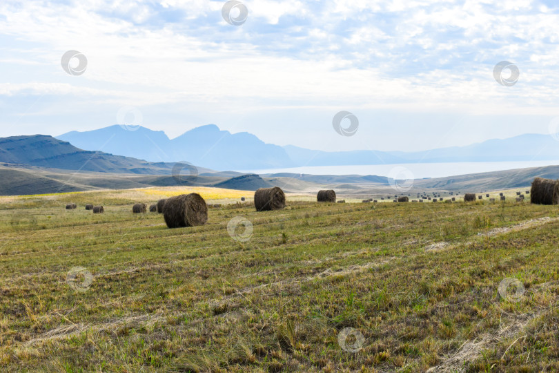 Скачать Летний пейзаж фотосток Ozero