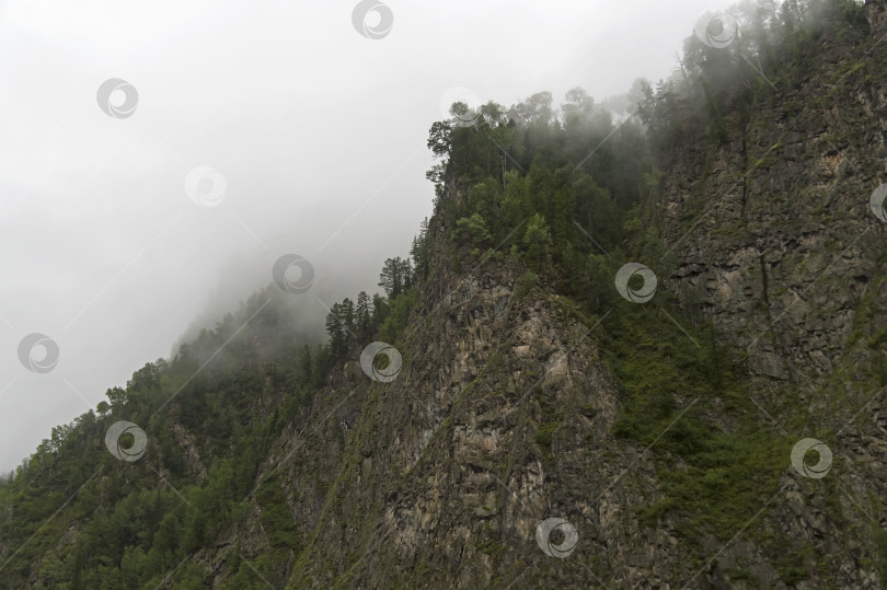 Скачать Низкие облака скрывают вершины гор. фотосток Ozero