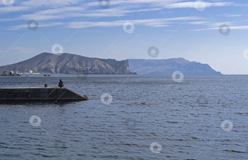 Скачать Одинокий рыбак ловит рыбу на гройне. фотосток Ozero