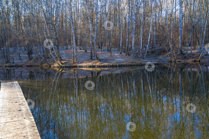 Скачать Пруд поздней осенью. фотосток Ozero