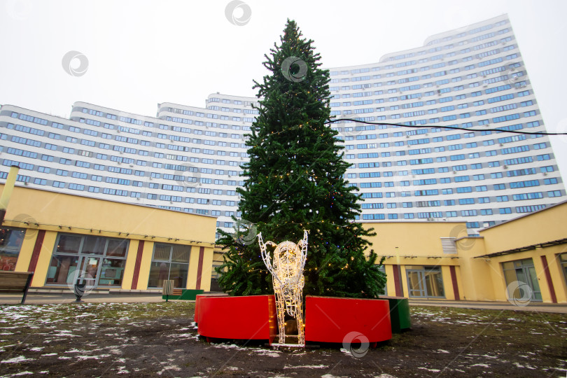 Скачать Беларусь, Минск - 26.12.2024: Большая, красиво украшенная рождественская елка стоит перед зданием фотосток Ozero
