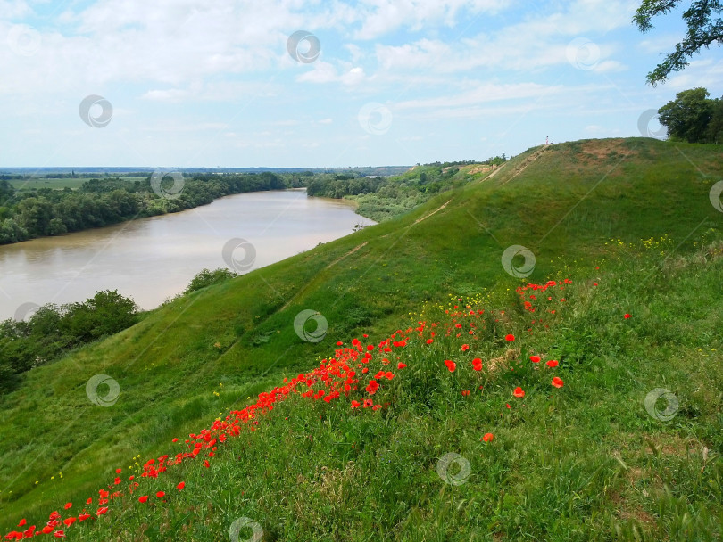 Скачать Нижняя Кубань фотосток Ozero