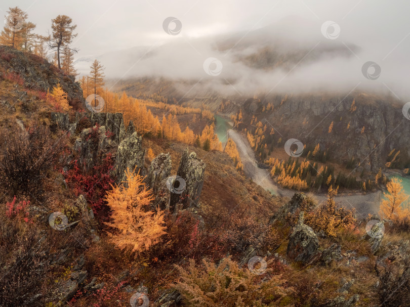 Скачать Красивая горная долина осенью. фотосток Ozero