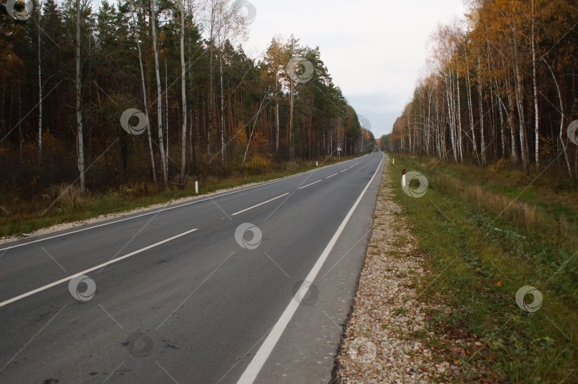 Скачать лесная дорога фотосток Ozero