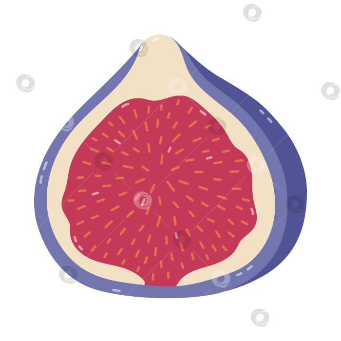 Скачать Прекрасный мультяшный спелый инжир, разрезанный пополам, с фиолетовой кожурой и семенами. Экзотический фрукт, нарисованный от руки ребенком на белом фоне. Модный клипарт для оформления продуктов питания, упаковки, меню ресторана. фотосток Ozero