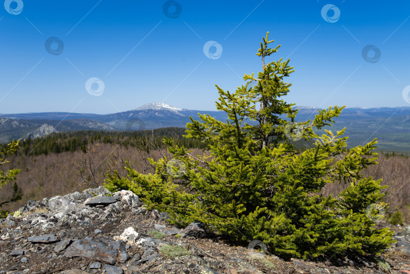 Скачать Весна в горах, Весеннее время в горах фотосток Ozero