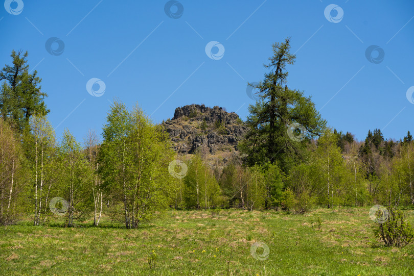 Скачать Весна в горах. Поле и скала фотосток Ozero