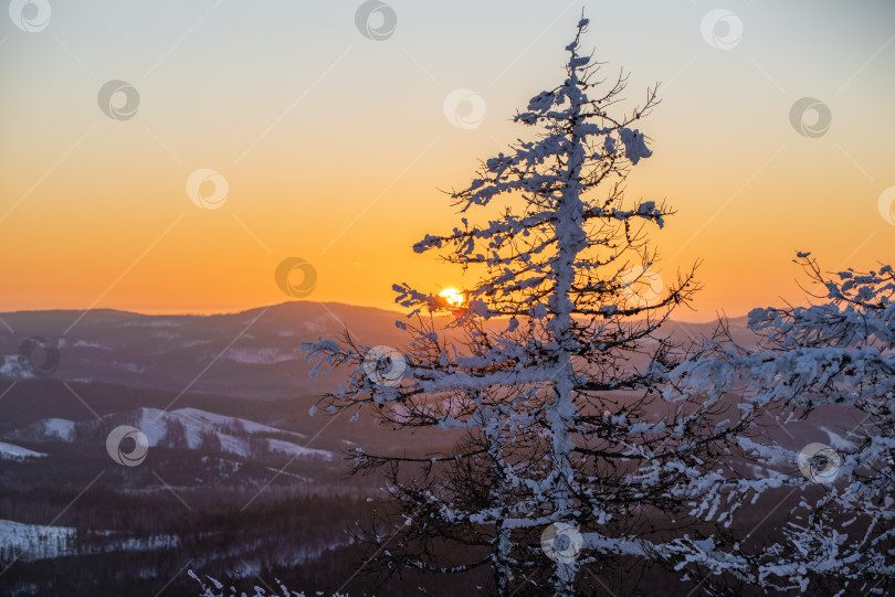 Скачать Рассвет в горах фотосток Ozero