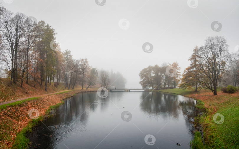 Скачать Туманное осеннее утро в парке. фотосток Ozero