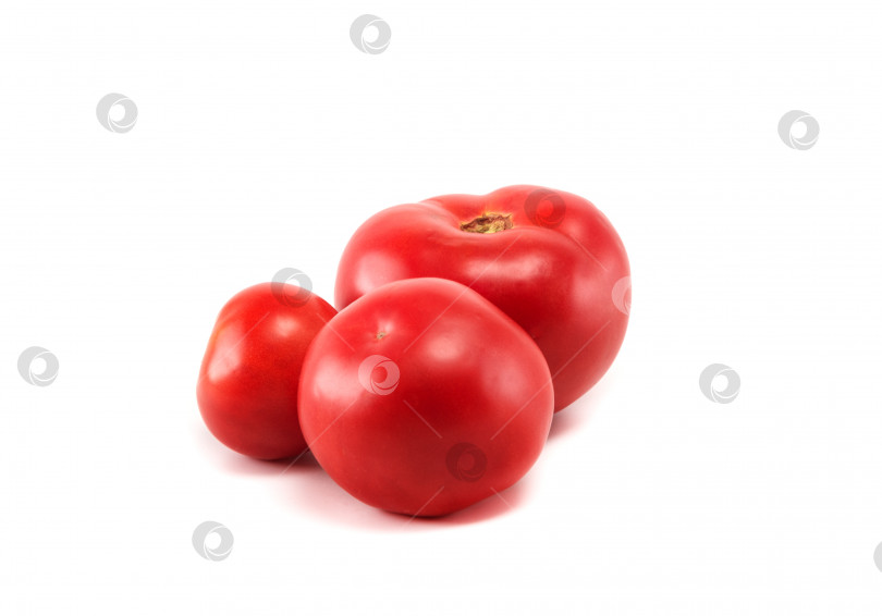 Скачать Три красных спелых помидора на белом изолированном фоне фотосток Ozero