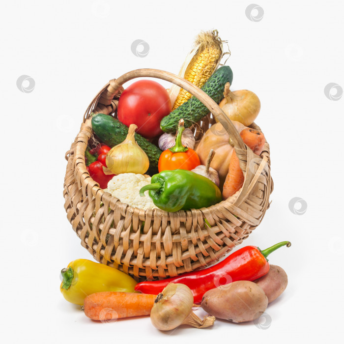 Скачать Набор свежих овощей в плетеной корзинке на белом изолированном фоне. Сбор урожая овощей и фруктов летом и осенью фотосток Ozero