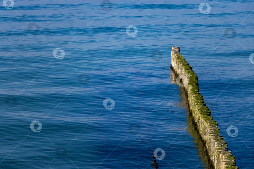 Скачать Волнорез на Балтийском море в Зеленоградске фотосток Ozero