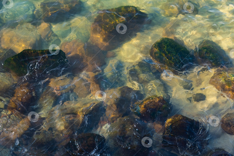Скачать камни на дне Балтийского моря фотосток Ozero