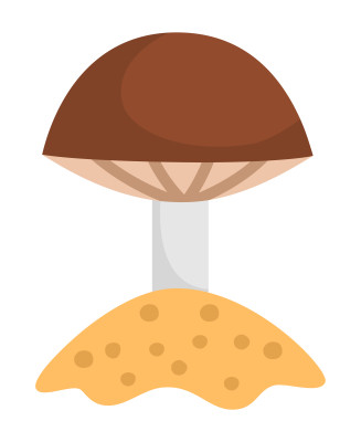 [object Object] undefined