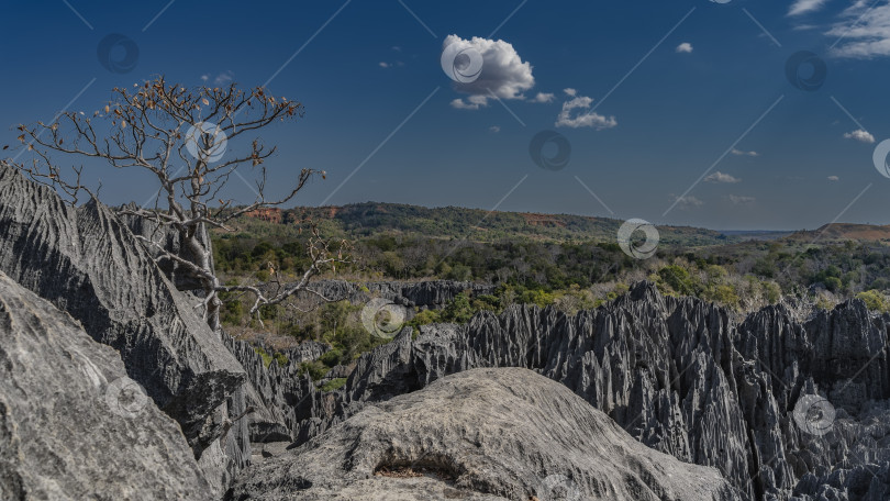 Скачать Знаменитый Цинги-де-Бемараха. Уникальные карстовые скалы фотосток Ozero