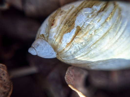 [object Object] undefined