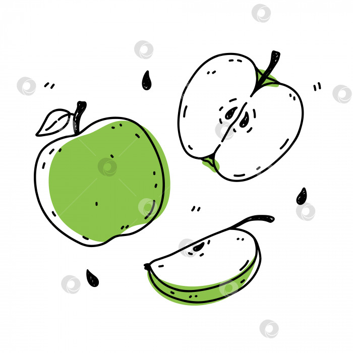 Скачать Набор зеленых яблок, выделенных на белом фоне фотосток Ozero