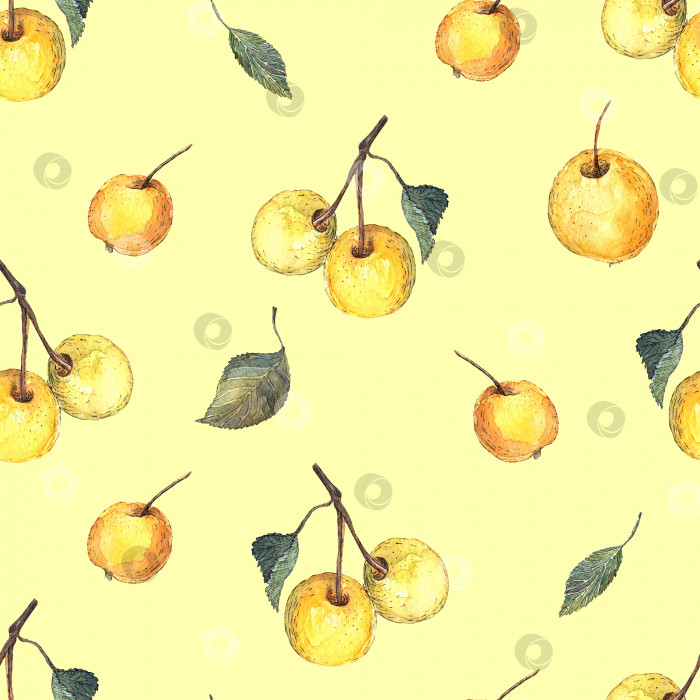 Скачать Акварельный бесшовный рисунок от руки с яблочной веткой, листьями и желтыми яблоками. фотосток Ozero