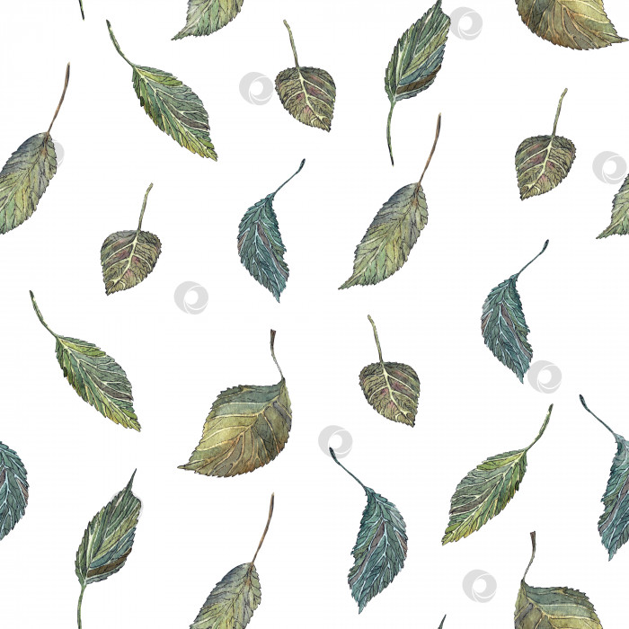 Скачать Акварельный бесшовный рисунок, нарисованный вручную сухими листьями. фотосток Ozero
