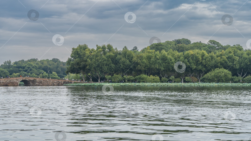 Скачать Красивое спокойное городское озеро. Лотосы на берегу. фотосток Ozero