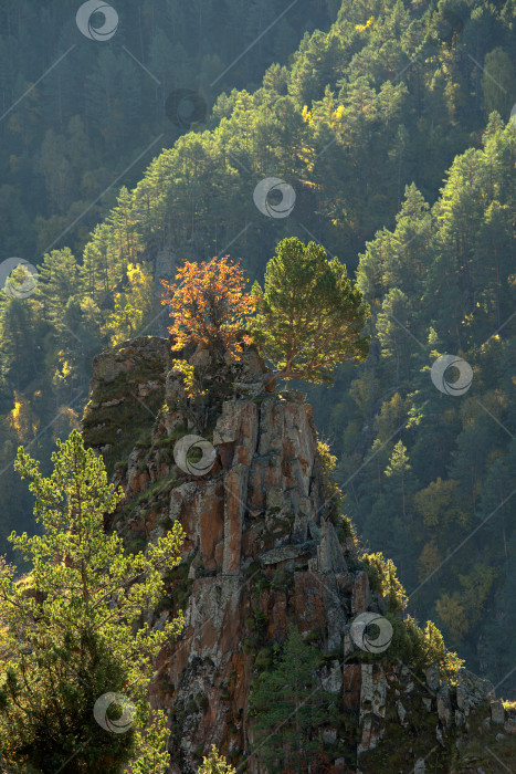 Скачать вид на Кавказские горы фотосток Ozero