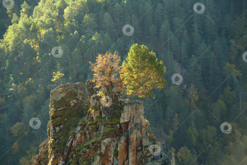 Скачать вид на Кавказские горы фотосток Ozero
