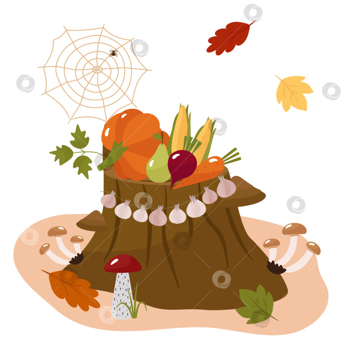 Скачать Осенние фрукты и овощи на лесном пне. Тыква, кукуруза, яблоки, груши, грибы, чеснок. Векторная иллюстрация для дизайна открыток или декора фотосток Ozero