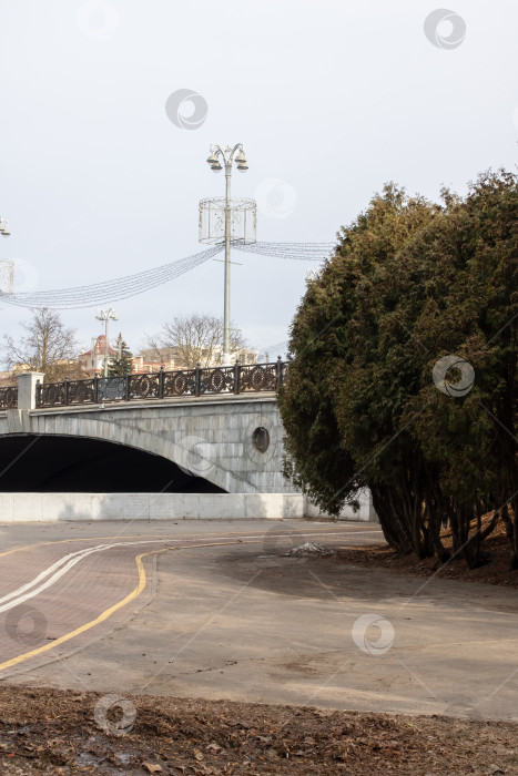 Скачать Дорога с деревьями на переднем плане и мостом на заднем фотосток Ozero