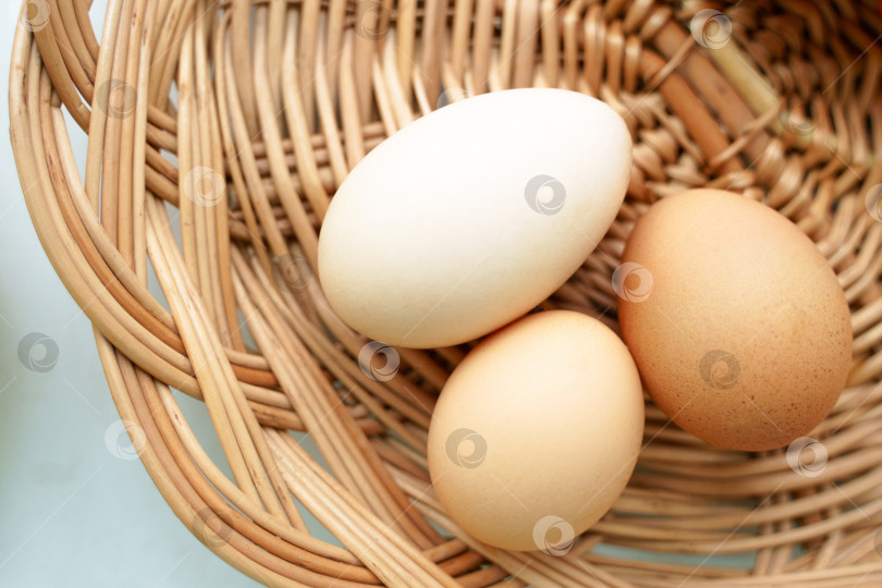 Скачать В плетеной корзинке лежат три куриных яйца разного цвета и размера фотосток Ozero