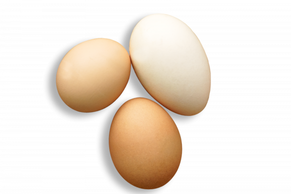 [object Object] undefined