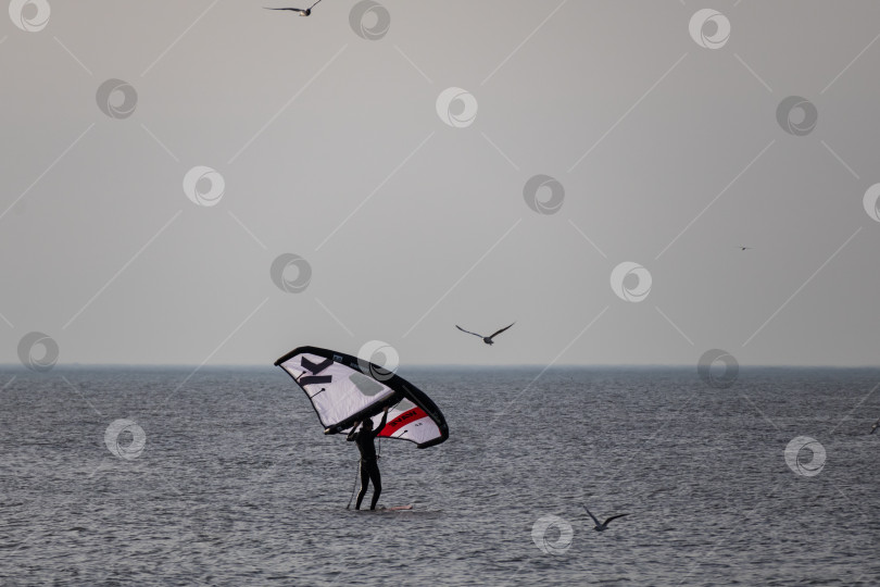 Скачать Спортсмен на виндсёрфинге в море фотосток Ozero