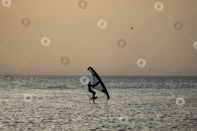 Скачать Спортсмен на виндсёрфинге в море фотосток Ozero