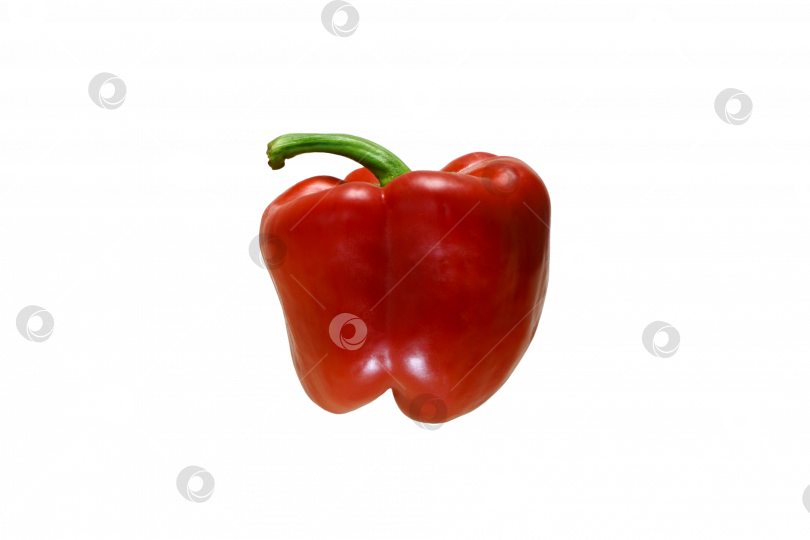 Скачать Идеальный сочный вкусный красный перец на прозрачном фоне фотосток Ozero